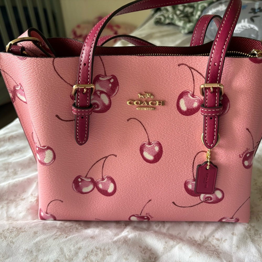 Coach Mollie Tote Bag 25